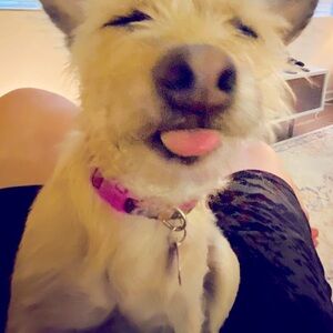 Meet your Posher, C.